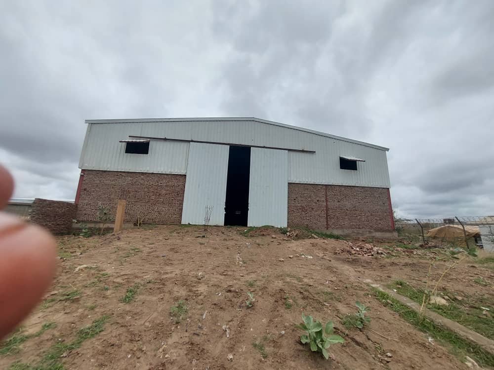 WhatsApp Image 2026-01-04 at 10.53.00 AM